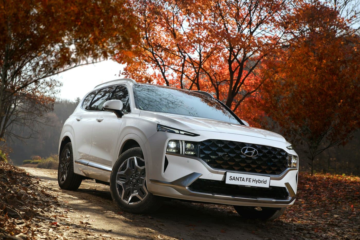 Photo 1 of 4 of 2015 Hyundai Creta EX
